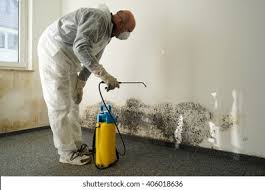 Reliable Simpsonville, SC Mold Prevention & Removal  Solutions